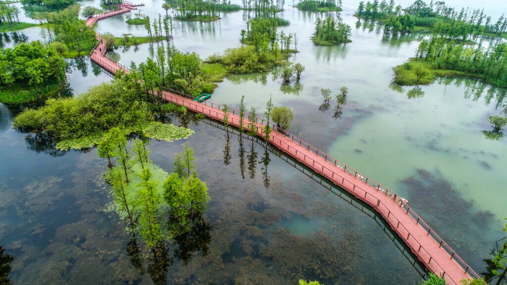 Water Logging